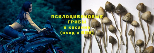 соль курить ск Каменка