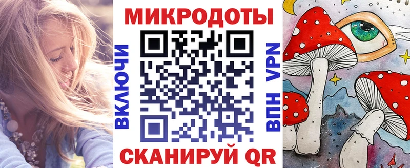 Галлюциногенные грибы Psilocybe  Купить где  Иннополис 